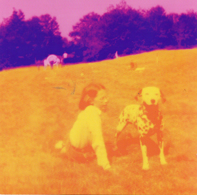 Eels  Blinking lights  front